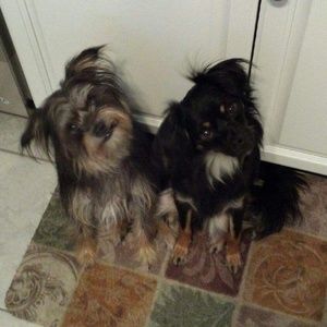 Meet your Posher, Meagan